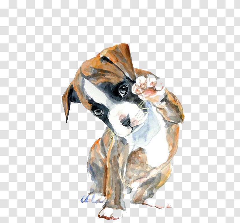 Boxer Watercolor Painting Oil Drawing - Pet - Hello Puppy Transparent PNG