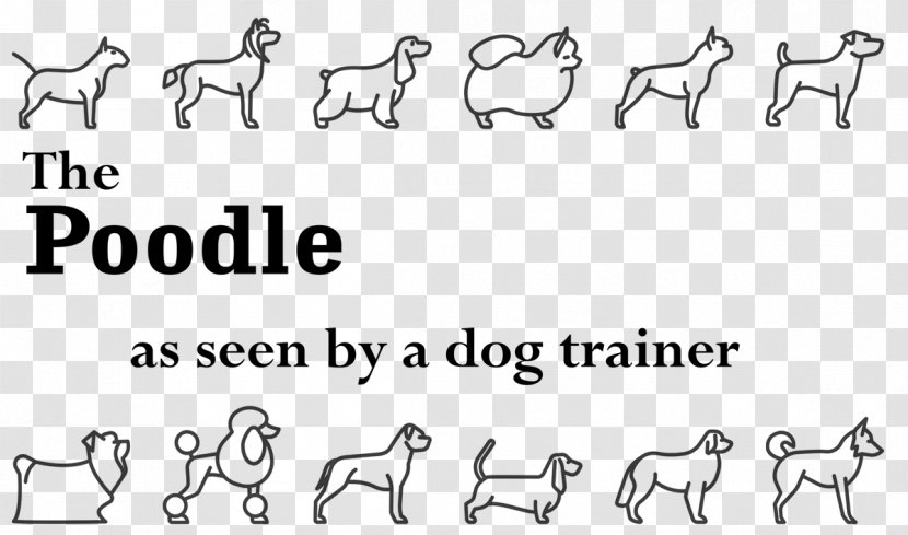 Poodle Horse Pet Cat Animal - Tree - Dog Transparent PNG