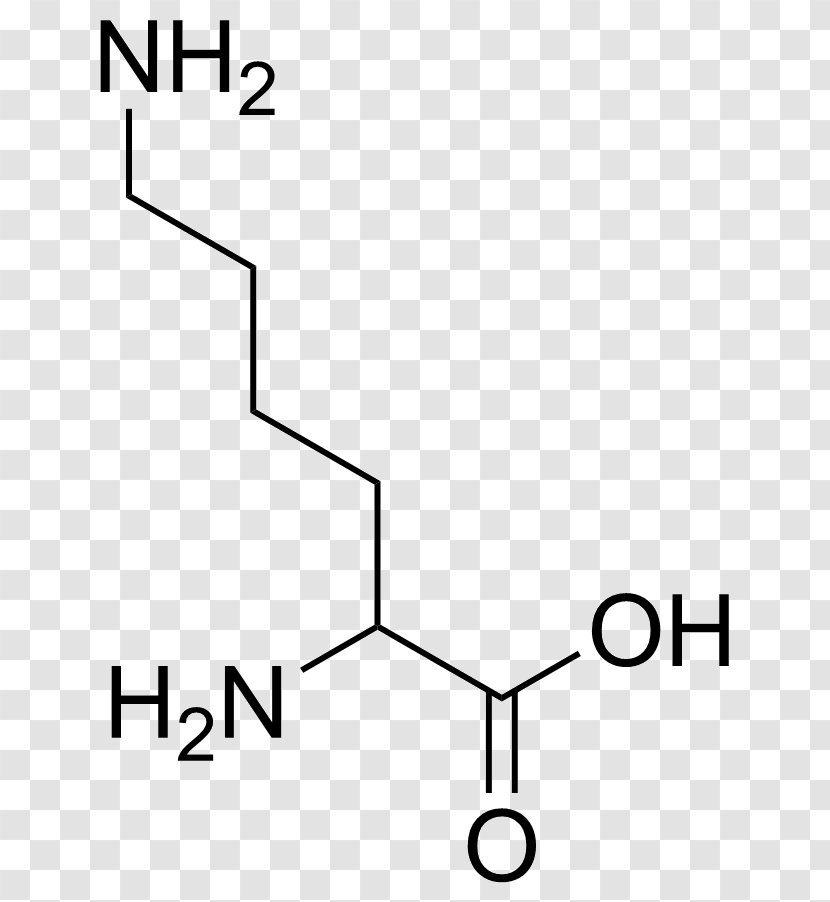 Isoleucine Branched-chain Amino Acid Essential - Phenylalanine - Glutathione Transparent PNG