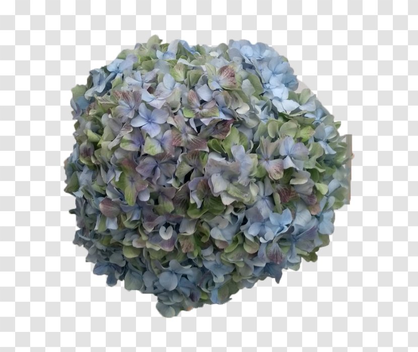 Green Grass Background - Artificial Flower California Lilac Transparent PNG