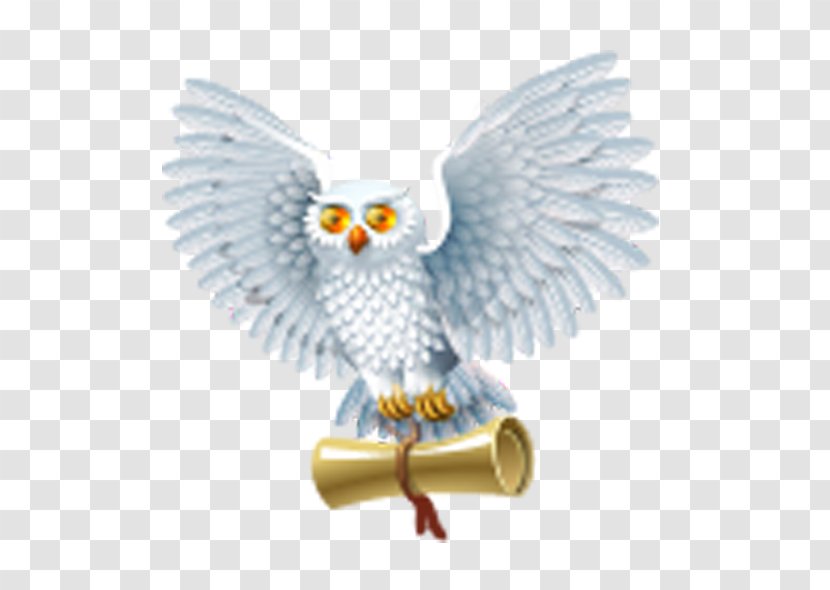 Harry Potter And The Half-Blood Prince Philosophers Stone ICO Icon - Beak - Owl Transparent PNG