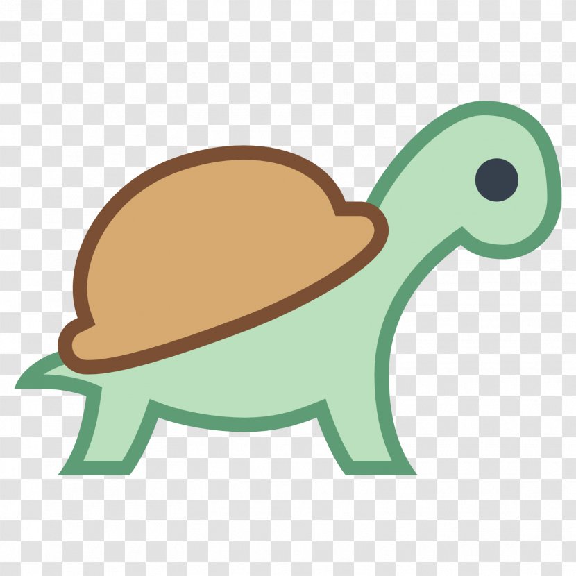 Sea Turtle Reptile - Box Transparent PNG