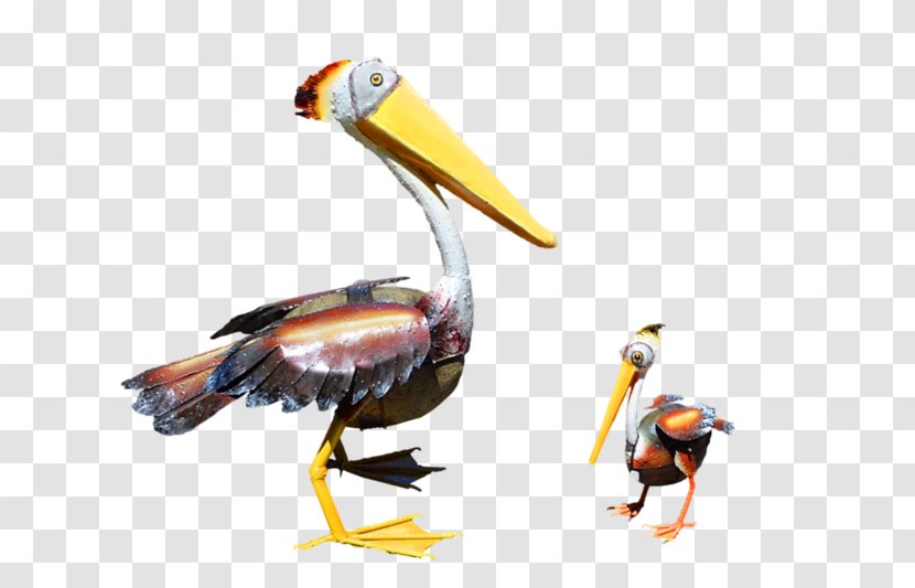 Pelican Products Toucan Fauna Beak Transparent PNG