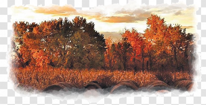 Rising Sun Ohio County Tourism Painting Art - Email - Hay Bale Transparent PNG