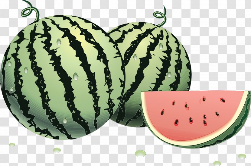 Watermelon Clip Art Image Muskmelon - Drawing - Cucumis Transparent PNG