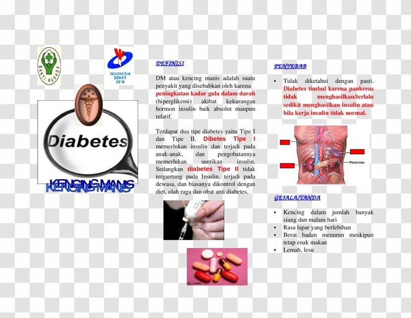 Diabetes Mellitus Type 2 Pamphlet Brochure Anti-diabetic Medication - Glucose - Leaflets Transparent PNG