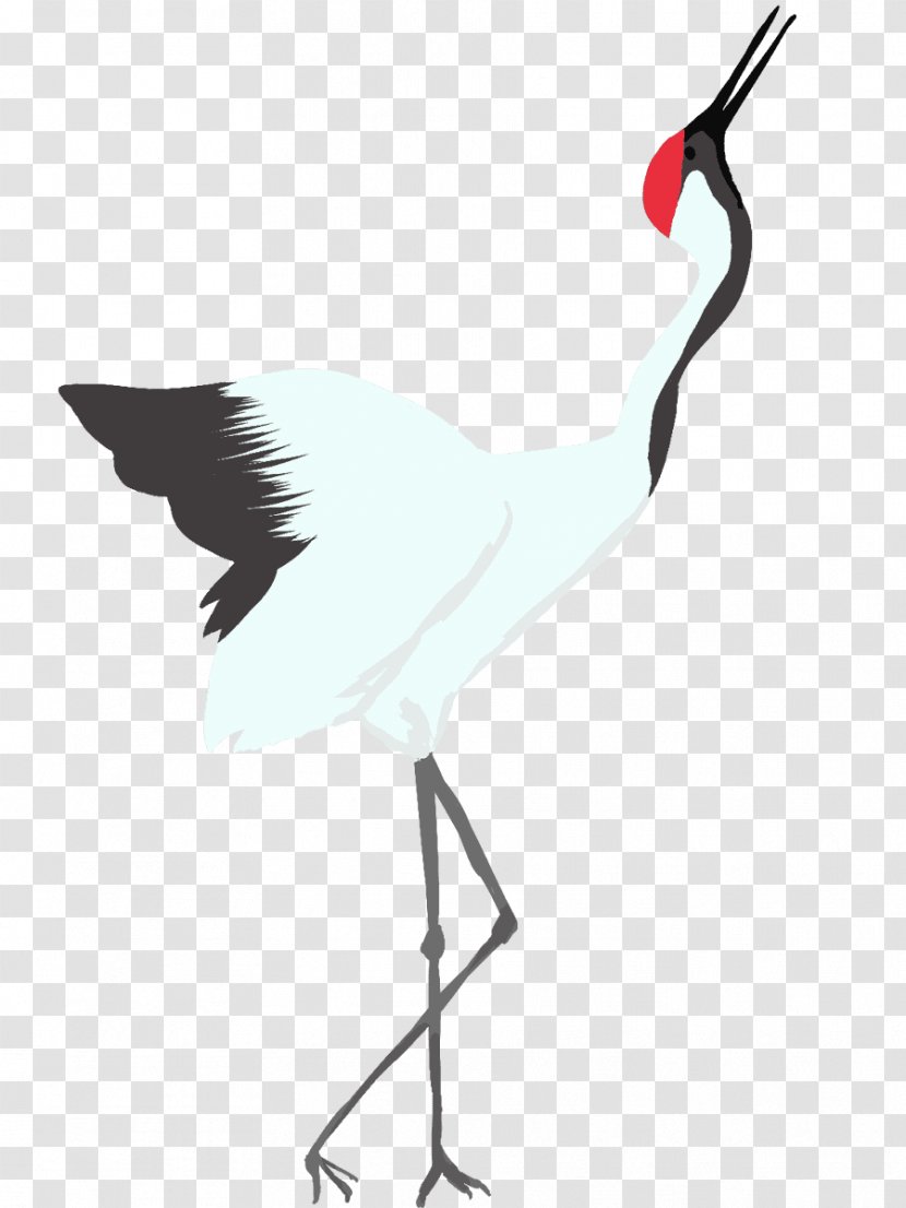 Crane Water Bird Stork Transparent PNG