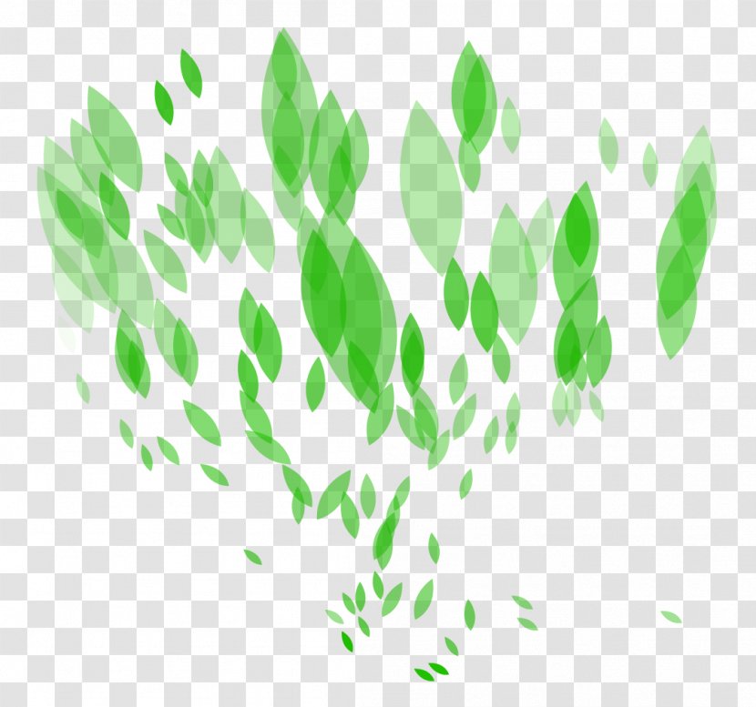 Light Leaf Green - Plant - Leaves Transparent PNG