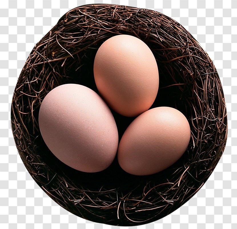 Bird Nest Egg - Material - Of Eggs Transparent PNG