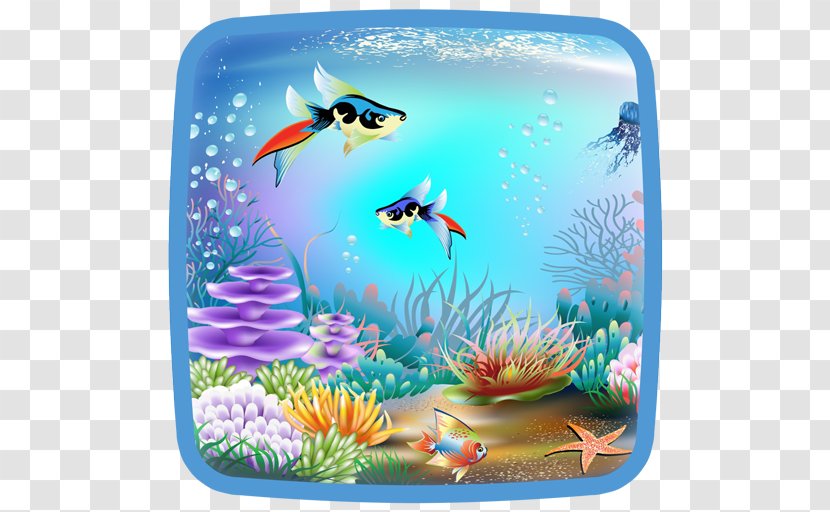 Vector Graphics Image Illustration Photograph Wall Decal - Coral Reef Fish - Marine Frame Underwater Transparent PNG
