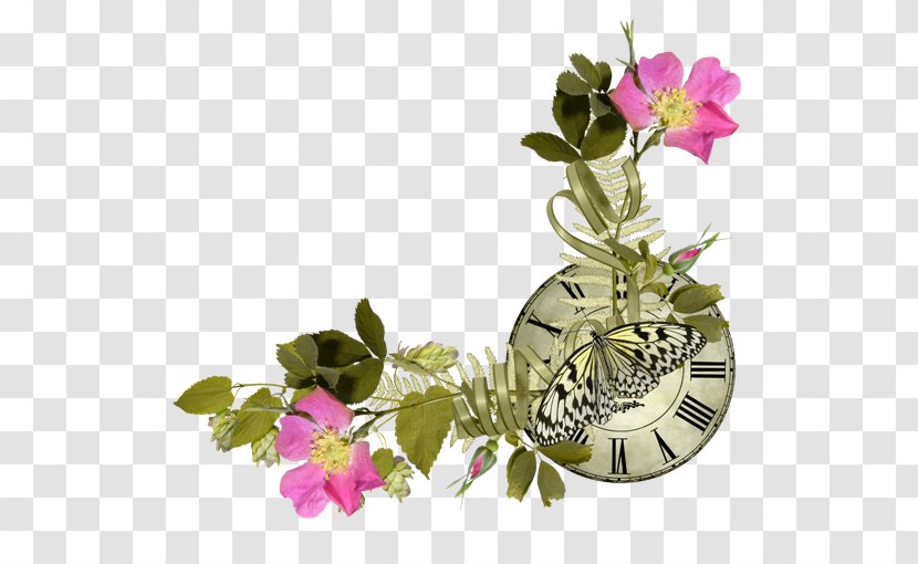 Flower Centerblog Floral Design Clip Art - Bordure Transparent PNG