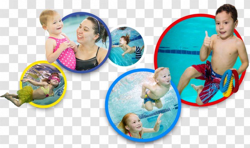 Swimming Lessons Infant All Star Swim Academy Child - Competiton Transparent PNG