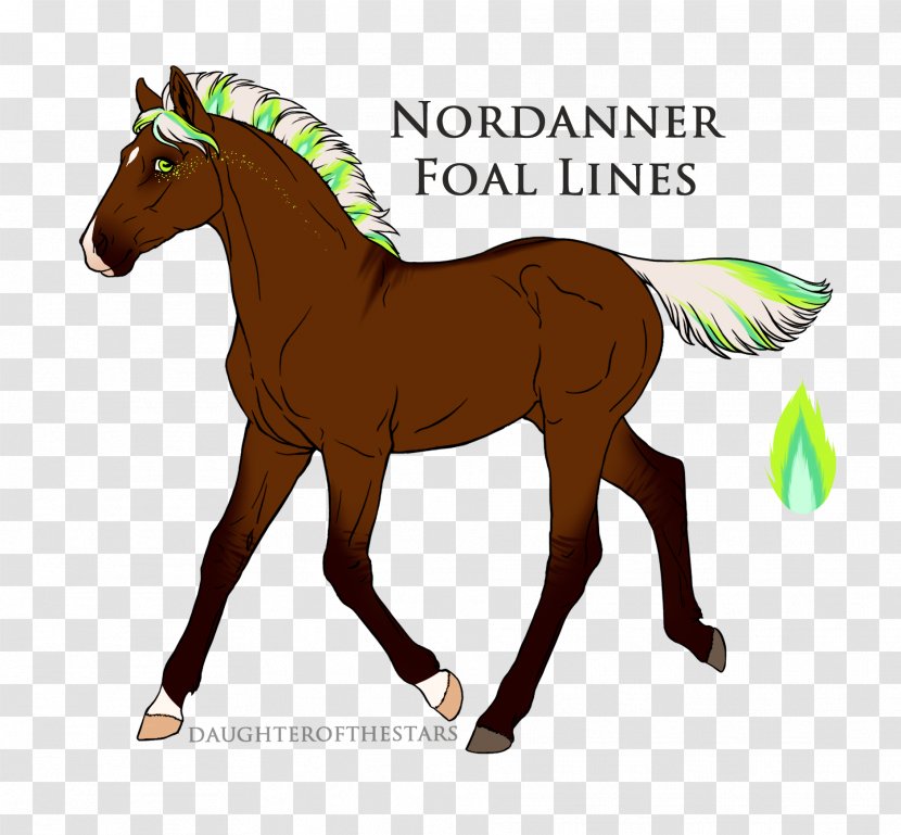 Foal Mare Pony Colt Mustang - Mammal Transparent PNG