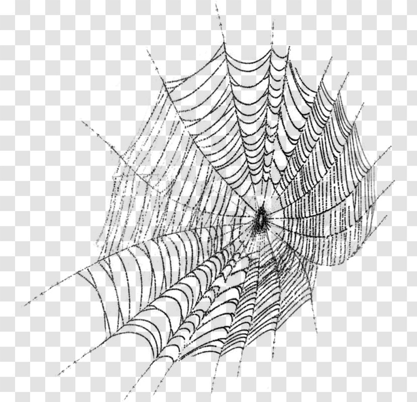 Spider Web Clip Art - Cartoon Transparent PNG