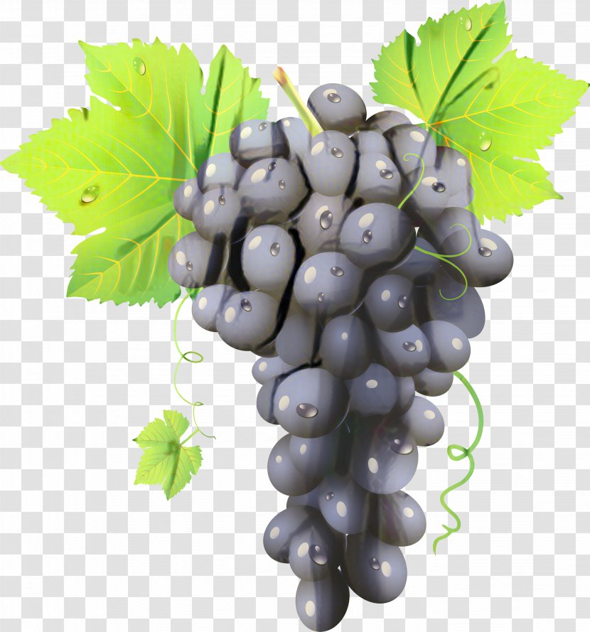 Flower Leaves - Grape - Superfood Transparent PNG