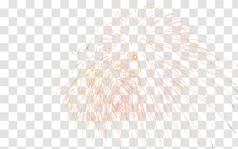 Fur Pattern - Beautiful Fireworks Transparent PNG