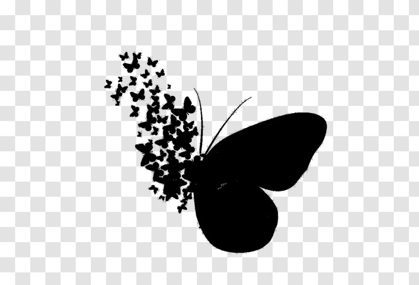 Paper Wall Decal Sticker Brush-footed Butterflies - Moths And Transparent PNG