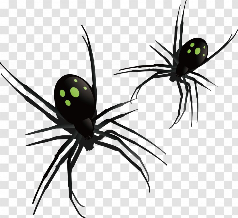 Southern Black Widow Spider Insect Pattern - Pest - Horror Transparent PNG