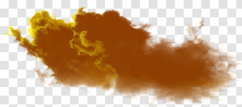 Cloud Lightning Rain Raster Graphics - Tree Transparent PNG