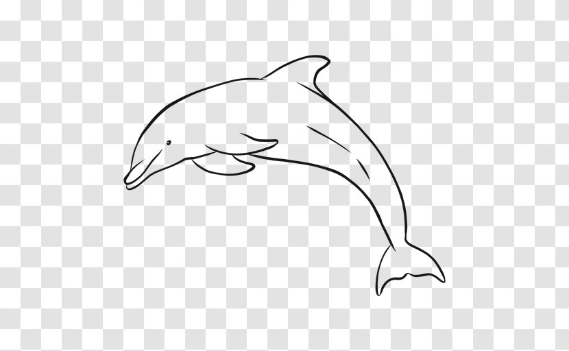 Common Bottlenose Dolphin Tucuxi Drawing Image - Cetacea - Jumping Transparent PNG