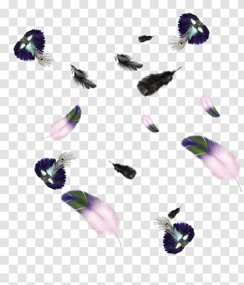 Feather Icon - Purple Transparent PNG