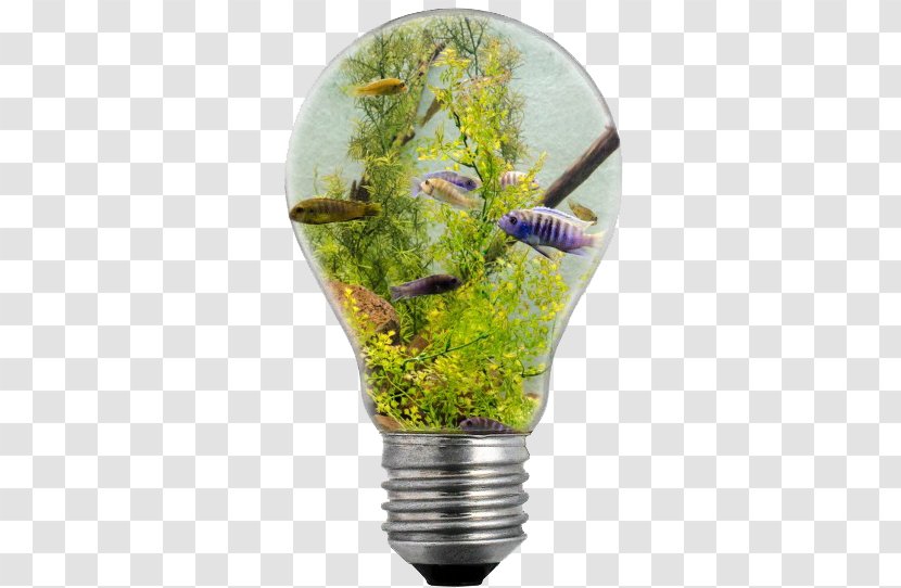 Incandescent Light Bulb Electric Illustration - Public Domain - In The Ocean Transparent PNG