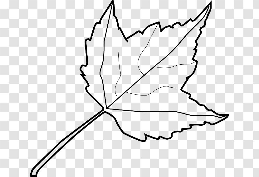 Clip Art Openclipart Autumn Leaf Color - Flower Transparent PNG