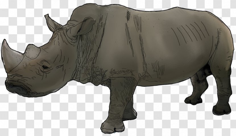 Rhinoceros Cattle Mammal Fauna Wildlife - Heart - Endangered Rhino Transparent PNG