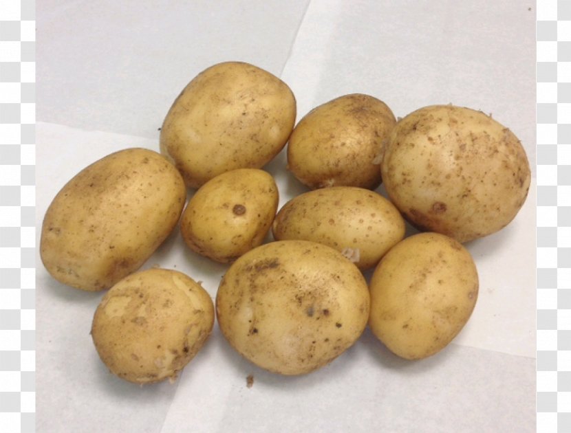 Russet Burbank Potato Yukon Gold Tuber STX EUA 800 F.SV.PR USD - Root Vegetable - Pomme De Terre Transparent PNG