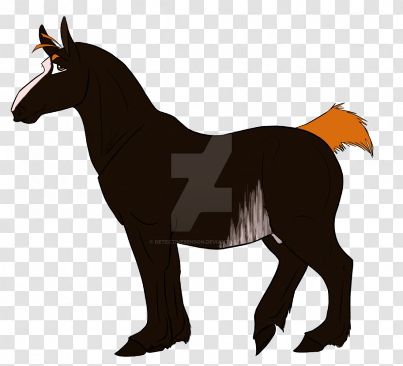 Mule Foal Mustang Stallion Colt - Mare Transparent PNG