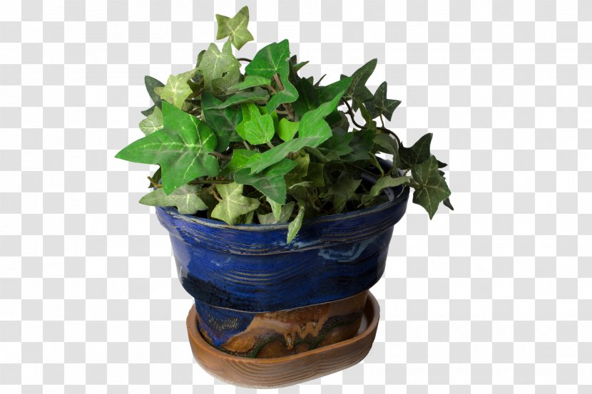 Spring Greens Flowerpot Houseplant Herb Leaf Transparent PNG