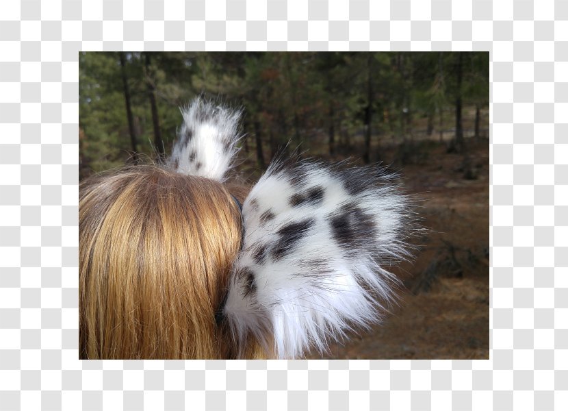 Wildcat Ear Feral Animal - Plastic - Cat Transparent PNG