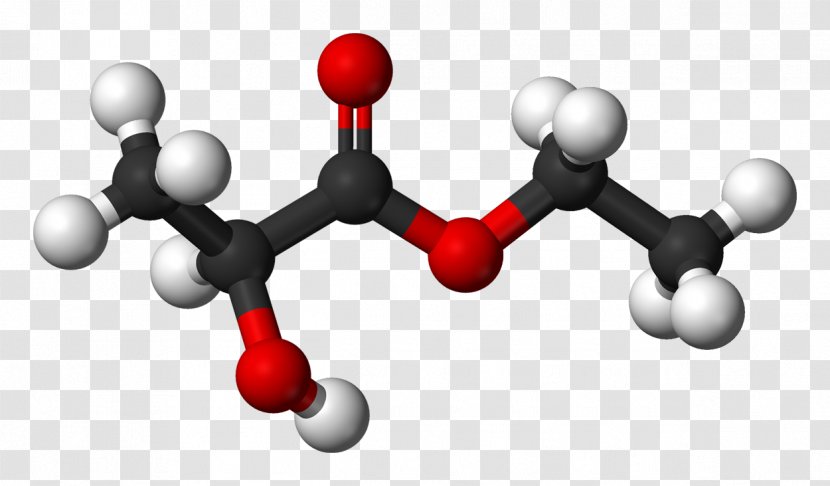 Lactic Acidosis Acid Fermentation Chemical Compound - Communication - Ethyl Tertbutyl Ether Transparent PNG