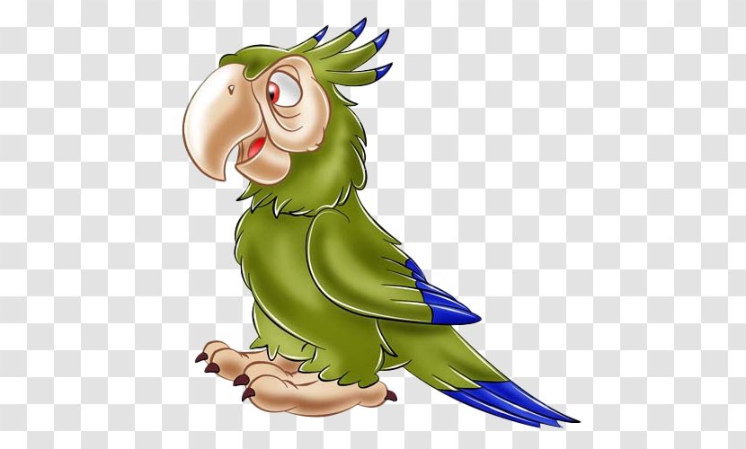 Parrot Bird Budgerigar Parakeet Transparent PNG