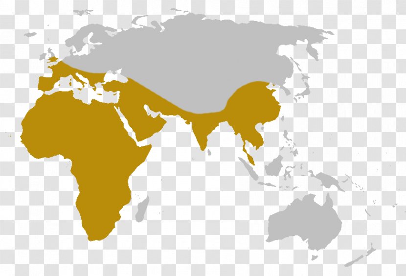 World Map Globe Old - Image Transparent PNG