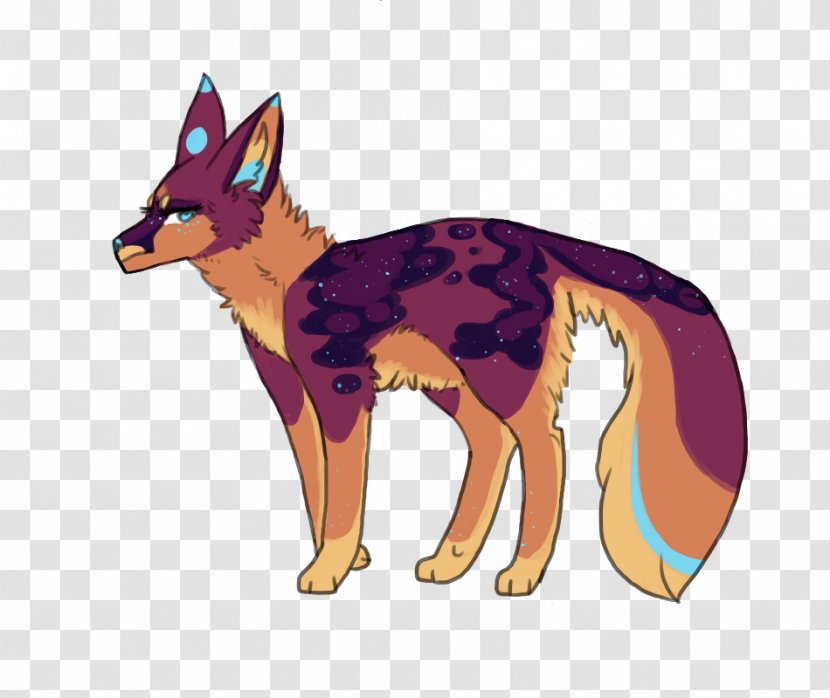 Dog Red Fox Jackal Fauna - Carnivoran - Jon Darling Transparent PNG
