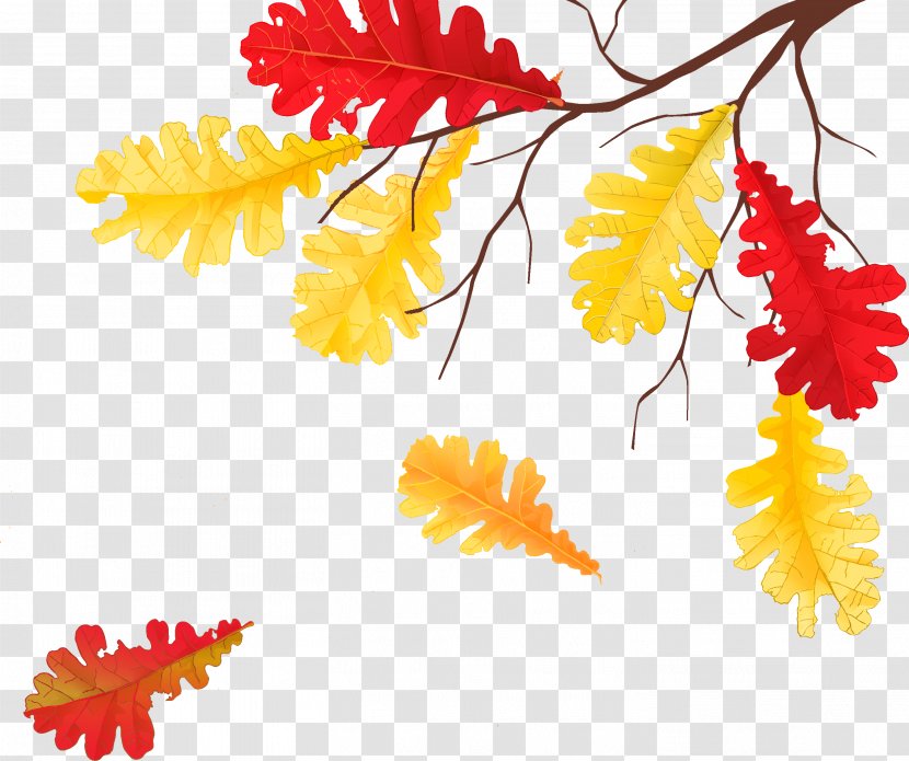 Autumn Leaves Golden Leaf Child - Withered Transparent PNG