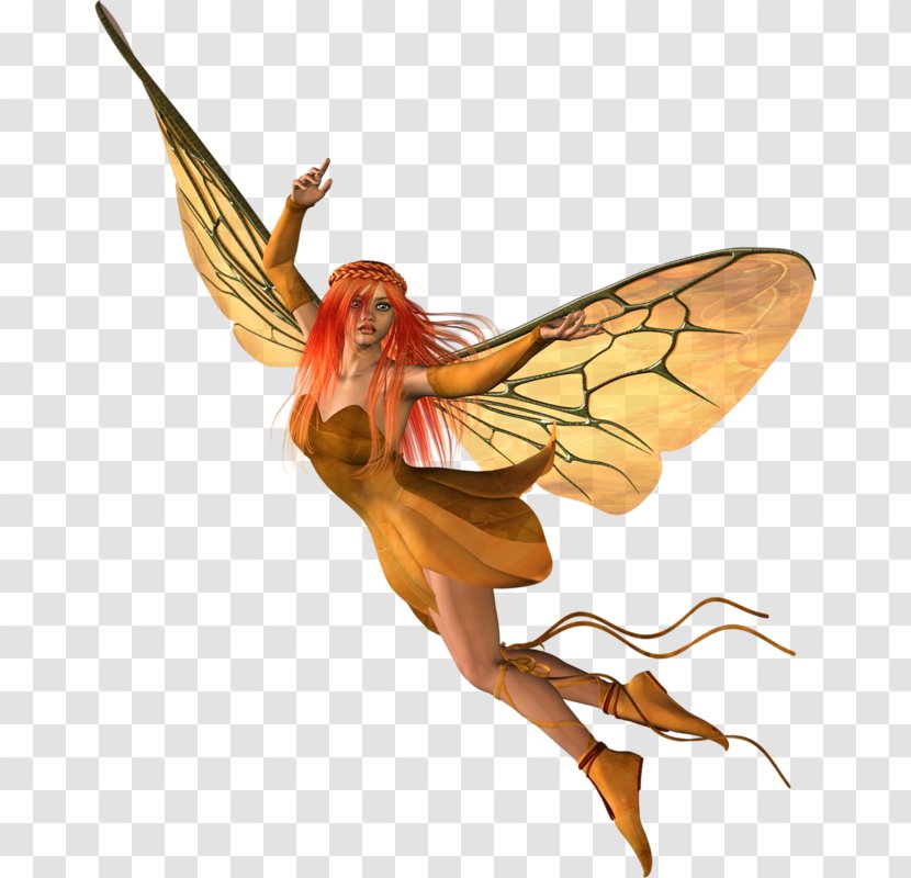 Fairy Drawing Clip Art - Wing - Fly Wizard Transparent PNG