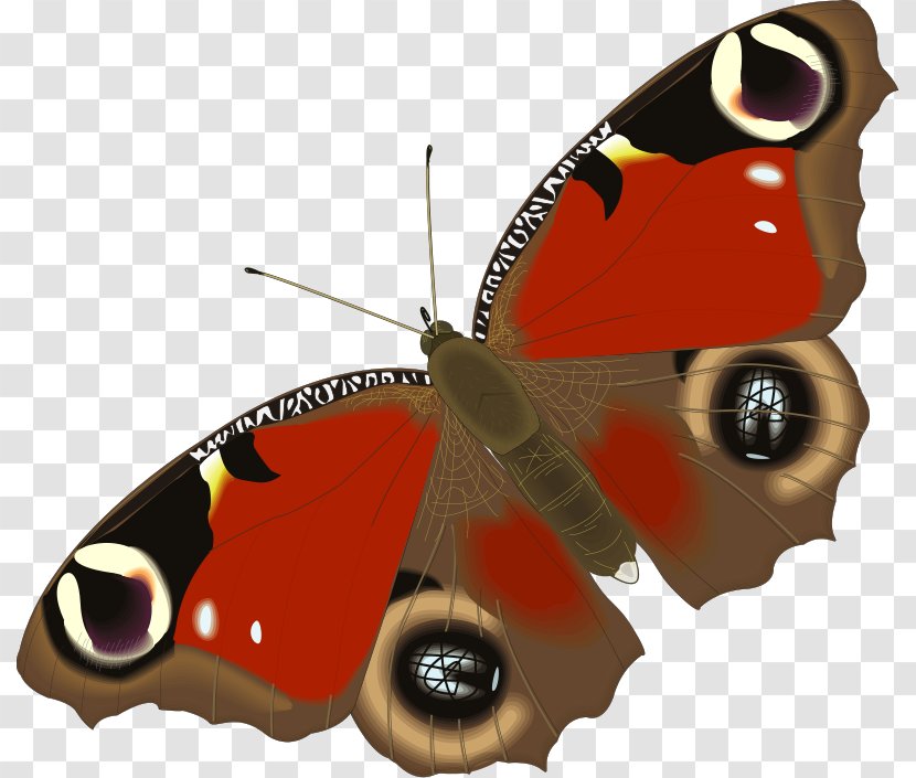 Butterfly Animation Aglais Io Clip Art - Arthropod - Free Insect Photos Transparent PNG