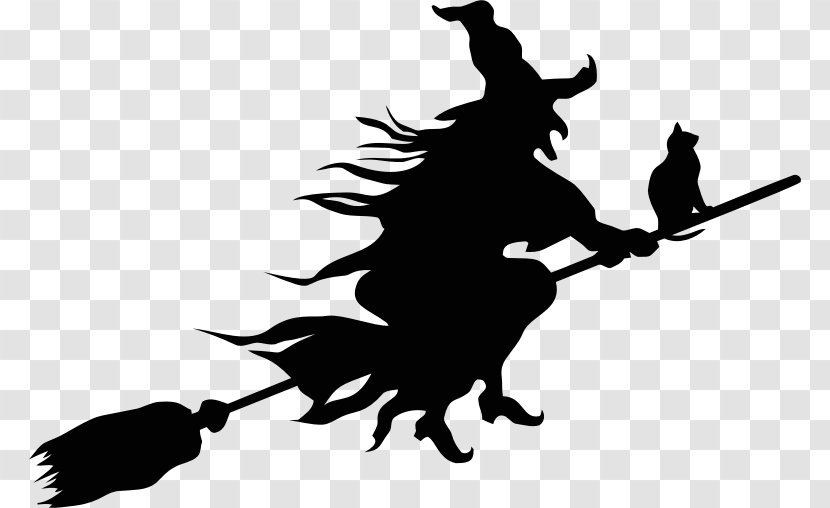 Broom Witchcraft Wall Decal - Artwork - Witch Vector Transparent PNG
