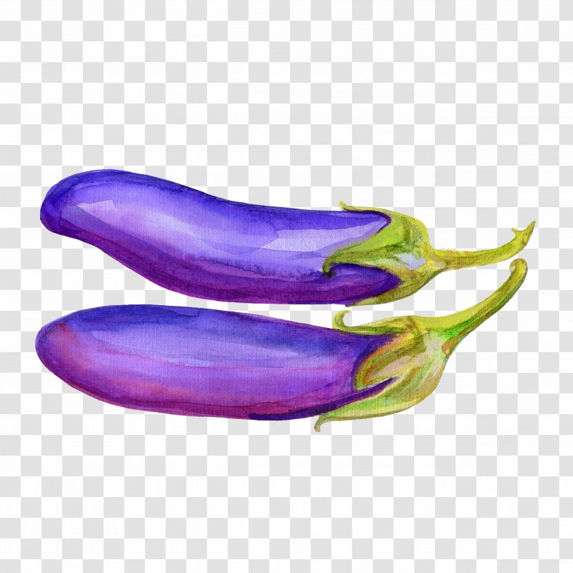 Eggplant Vegetable Drawing Illustration - Watercolor Painting - Hand-painted Transparent PNG