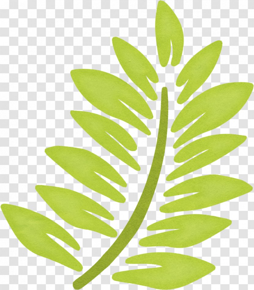 Leaf Image Download - Designer - Banana Green Transparent PNG