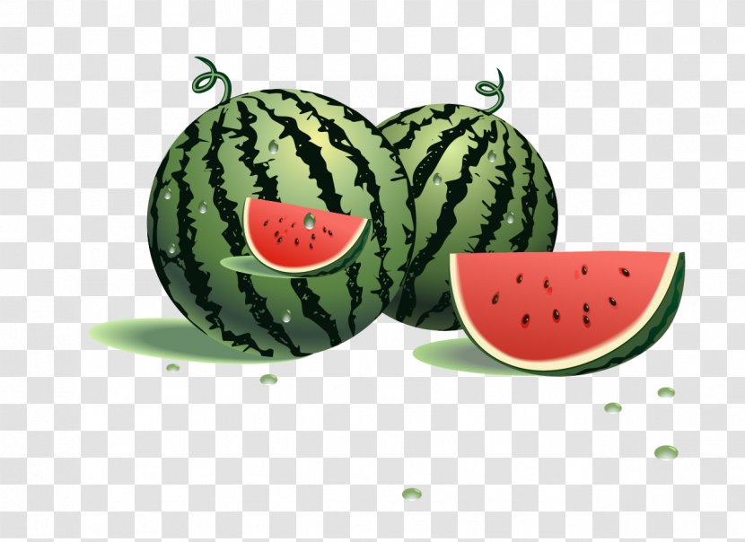 Watermelon Fruit Cucumber Clip Art - Gourd And Melon Family Transparent PNG