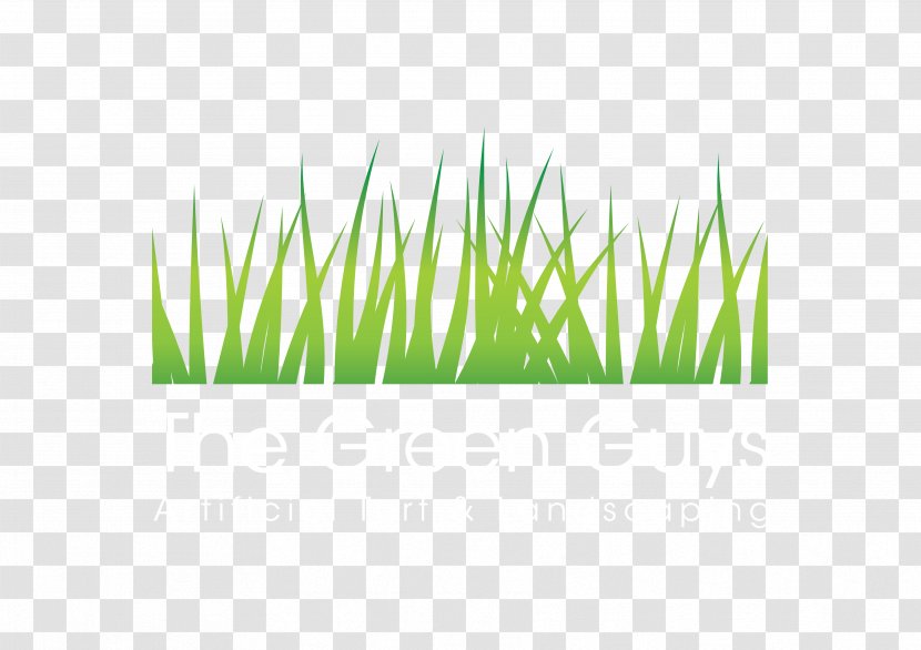 Artificial Turf Lawn Price Commodity - Grass Family Transparent PNG