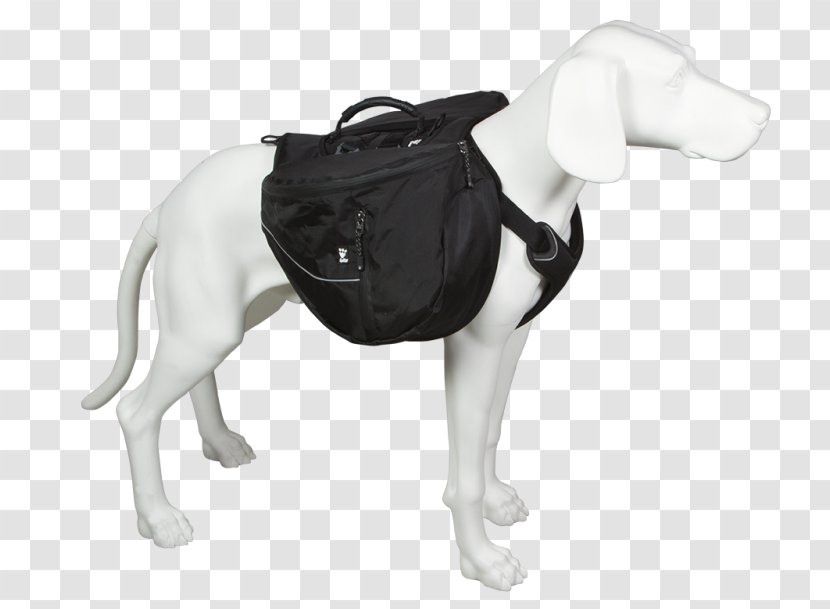 Dog Breed Backpack Trail Hiking Transparent PNG