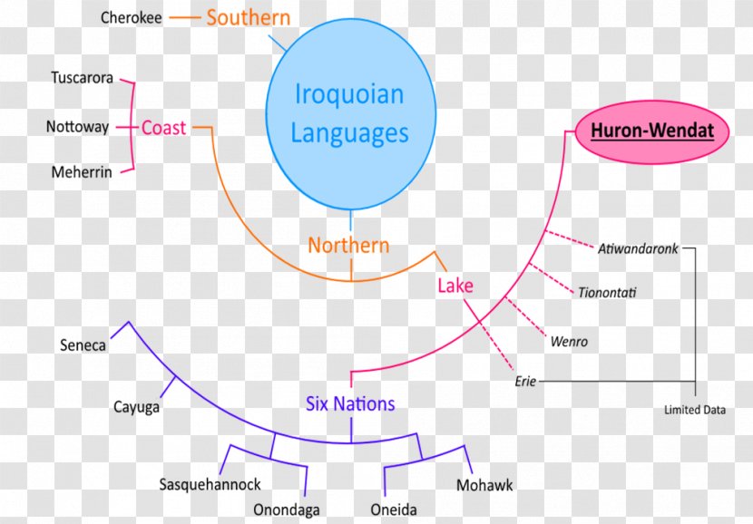 Iroquoian Languages Wyandot People Language Iroquois Family Tree - Text - Various Transparent PNG