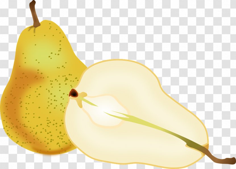 Asian Pear Fruit Clip Art - Fresh Transparent PNG