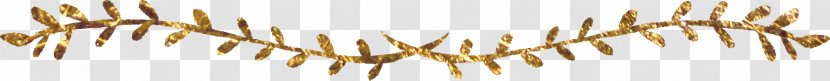 Creativity Download Gold - Close Up - Beautiful Creative Pattern Frame Transparent PNG