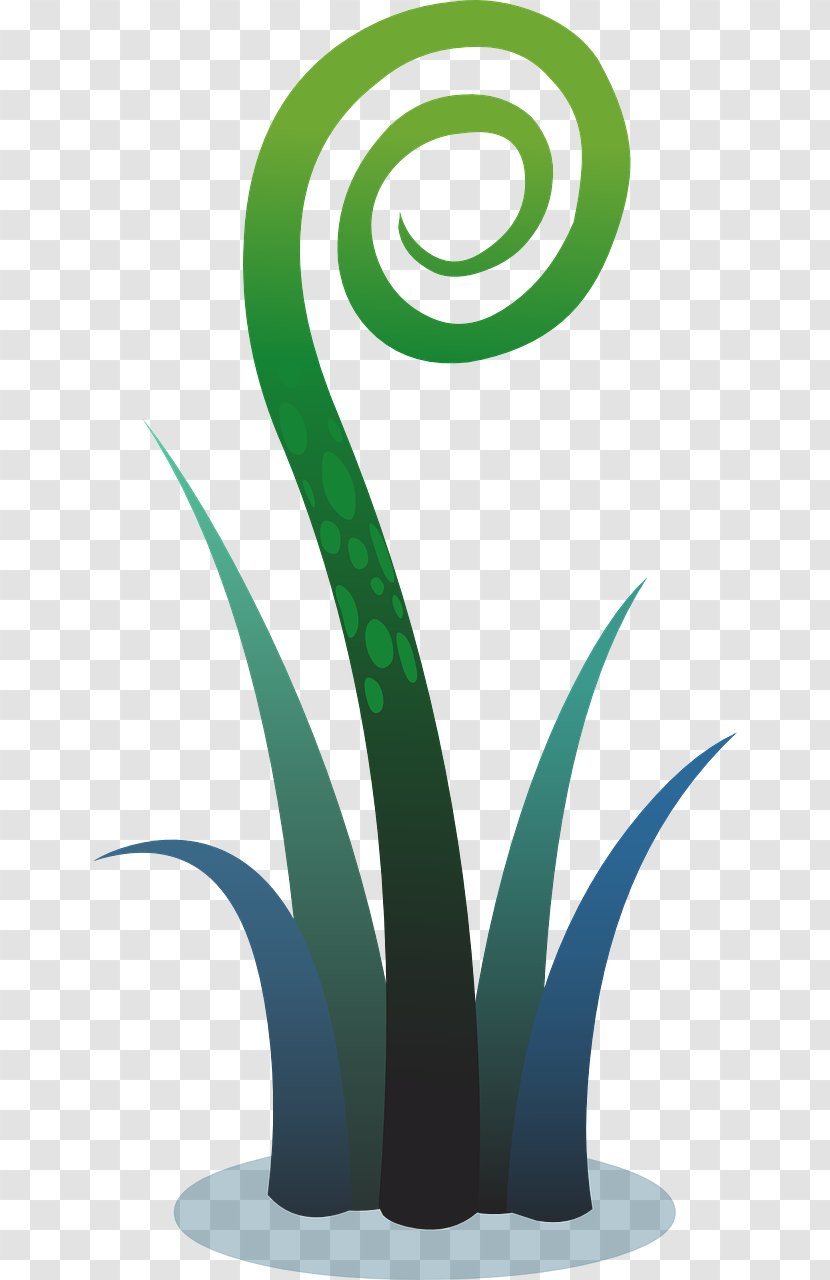 Plant Fern Clip Art Transparent PNG