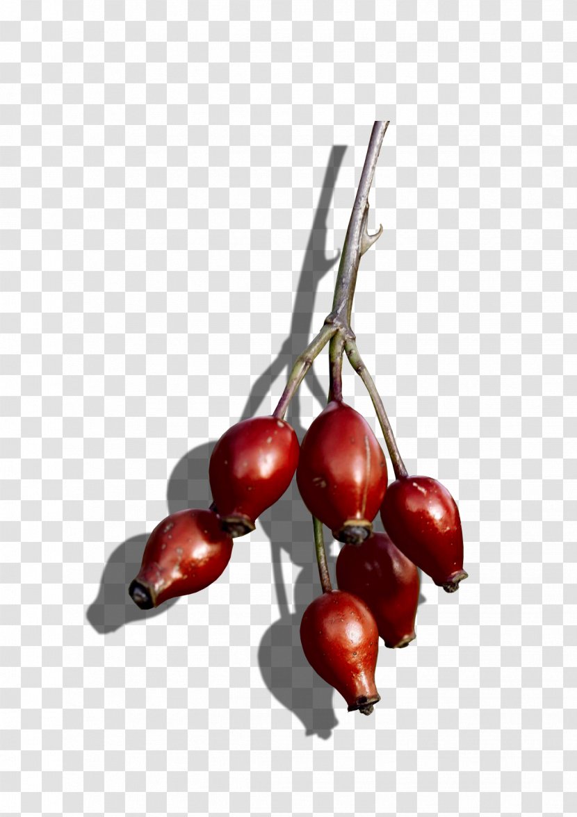 Cranberry Rose Hip Superfood Cherry - Food Transparent PNG